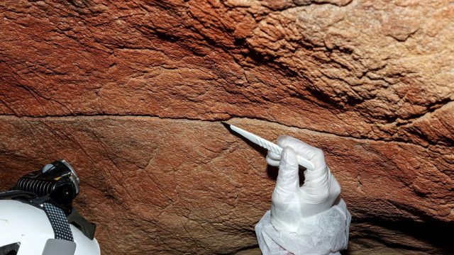 Ancient DNA Discovery Unravels New Insights into Human History