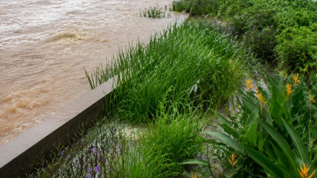 Vietnam's Dual Approach: Merging Infrastructure and Nature to Combat Flooding