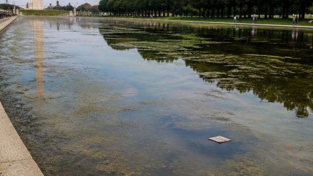 The Reflecting Pool Controversy: A Symbol of Environmental Oversight | rtp spinhoki88, agen judi slo
