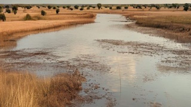 Urgent Report Highlights Climate Crisis Impact in Lake Chad Region | rajajp88, target slot 4d, biru4